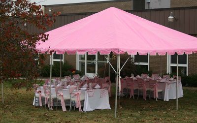 Unleash Your Inner Barbie Dream with Our 20×20′ Pink Frame Tent!